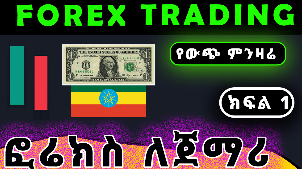 Forex Trading For Beginners Full Course in Amharic | Ethiopia.